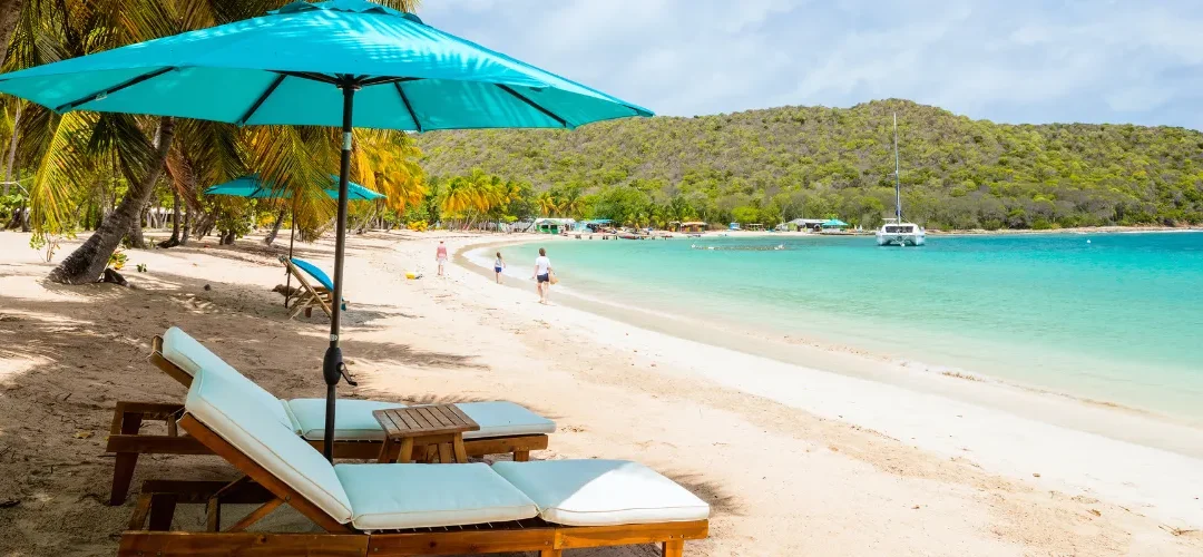 How Caribbean – Owned Businesses Can Thrive in the U.S. Market