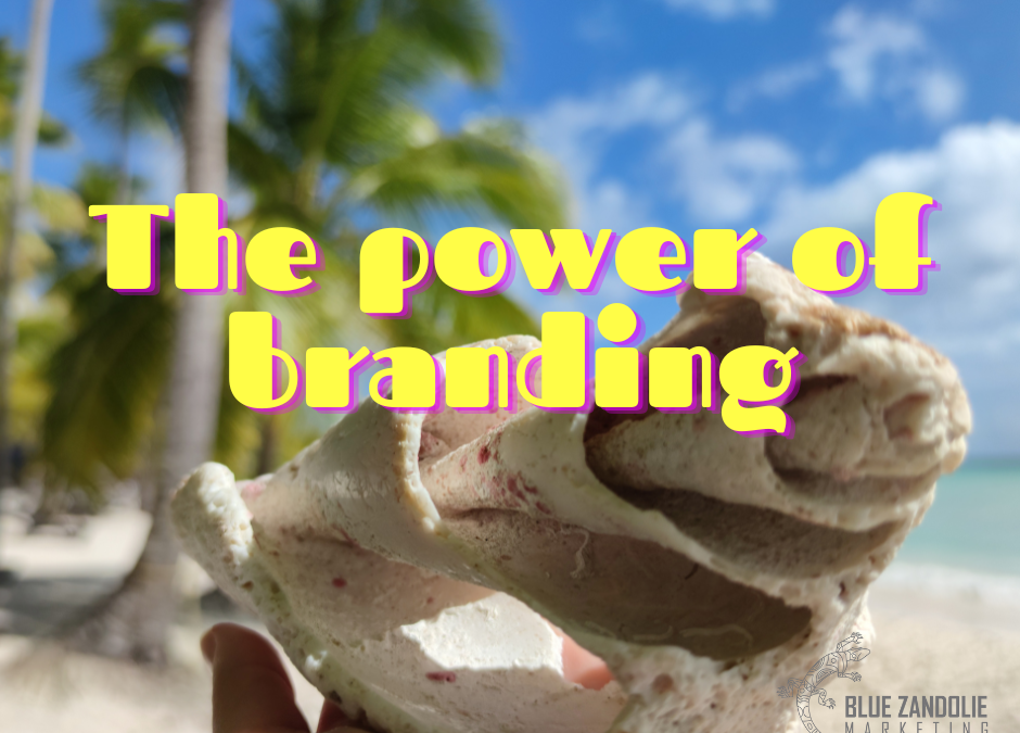 The Power of Branding for Caribbean-Owned Businesses