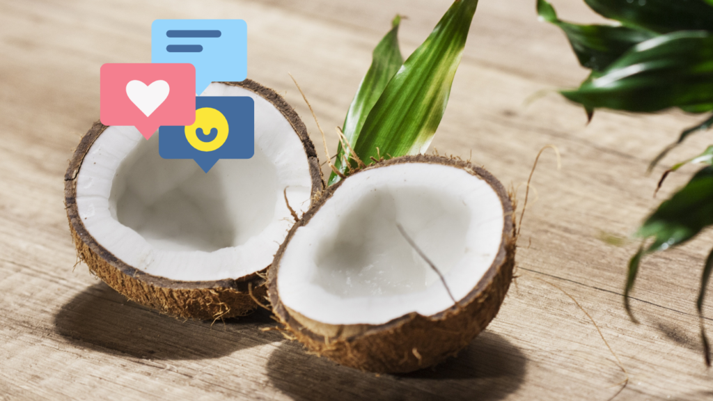 coconuts with social media icons